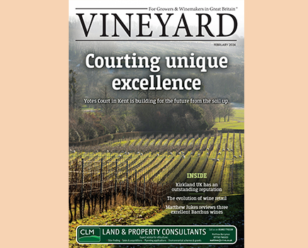 February 2024 Vineyard Magazine   0224 PrintEditionCover 